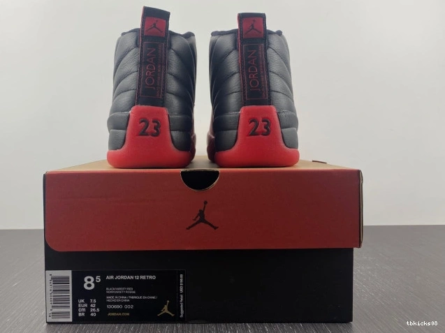 Cheap TBkick Flu Jordan (2016) 130690-002 12 Game Retro 0804